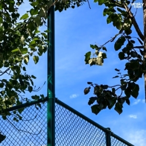 深度学习加持，老牌相机厂商发力计算摄影，佳能神经网络图片优化工具发布 ...