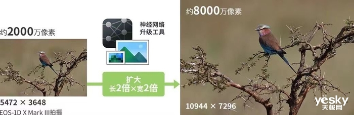 深度学习加持，老牌相机厂商发力计算摄影，佳能神经网络图片优化工具发布