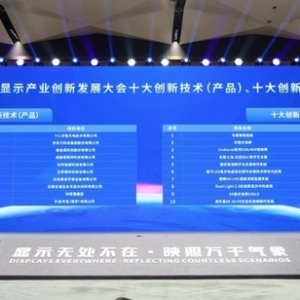 迎接OLED黄金时代：维信诺ViP AMOLED显示屏亮相世界显示产业创新发展大会 ...