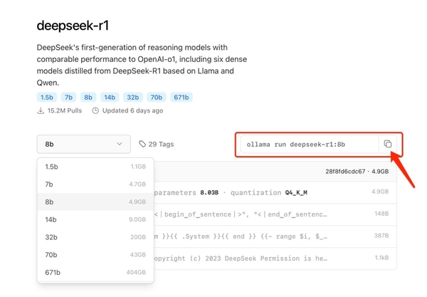 服务器总是繁忙？DeepSeek-R1本地部署图文版教程来啦